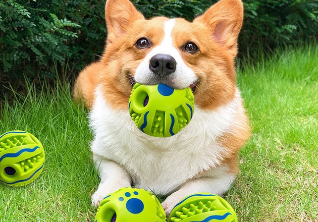 Engage Your Pet Like Never Before with the GigglePaw™ Interactive Sound Ball!