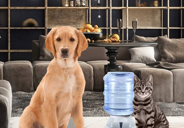 Simplify Pet Care with the PetNourish™ 3.8L Automatic Pet Feeder